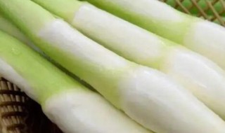 水煮茭白需要煮多久 水煮茭白需要煮多长时间