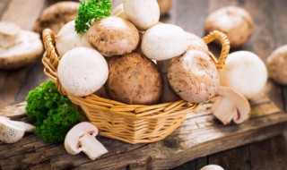 红菇炖多久会熟 红菇煮多久时间最好