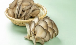 平菇小火炖多久会熟 平菇小火炖多久会熟