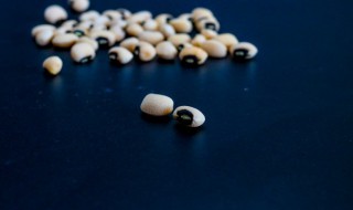 芸豆电饭煲炖多久会熟 芸豆电饭煲炖一般需要多长时间