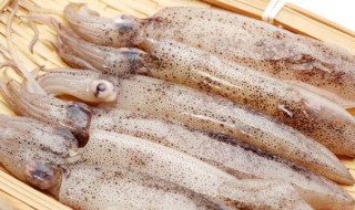 章鱼需要煮多久会软掉 章鱼煮多久才熟