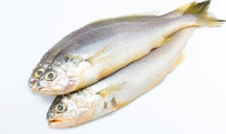 用什么烤小鱼干好吃又简单 用什么烤小鱼干好吃