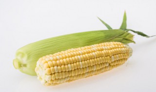 玉米多久能炖烂熟透吃了 玉米炖多长时间烂熟透就能吃呢