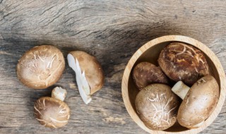 香菇大火炖多久会熟 香菇大火炖多长时间会熟呢