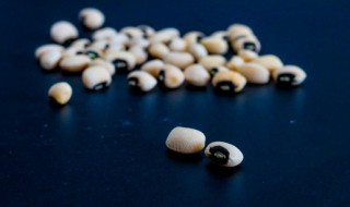 高压锅煮豆子需要多久 高压锅煮豆子需要几分钟呢