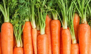 炖胡萝卜块多久会熟 炖胡萝卜块多长时间会熟呢