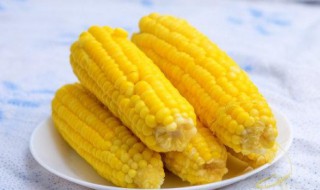 陶瓷锅煮玉米需要多久 煮玉米冷水下锅还是热水下锅
