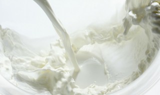 加一点牛奶煮玉米需要多久 加一点牛奶煮玉米需要的时间