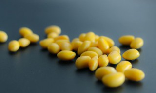 焖黄豆多久能烂熟透一点 焖黄豆多长时间能烂熟透一点呢