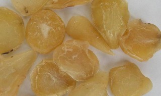 5克制附子需要煮多久 附子需要煮的时间