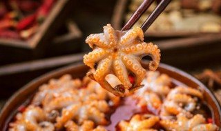 大八爪鱼须需要煮多久 大八爪鱼须需要煮多长时间