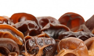 木耳蘑菇需要煮多久才熟 木耳蘑菇需要煮多长时间