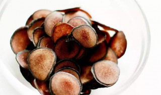 鹿茸炖多久会熟 鹿茸炖多长时间才会熟呢