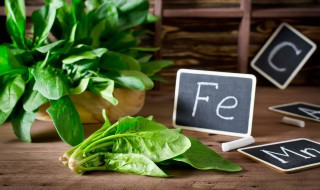 菠菜需要煮多久能熟 菠菜煮多久才能吃