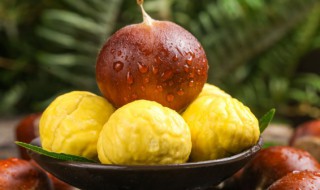 板栗大概需要煮多久 板栗需要煮的时间