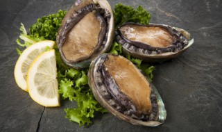 清水带壳煮鲍鱼需要多久 清水带壳煮鲍鱼怎么煮