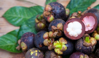 山竹辅食需要煮多久能熟 山竹辅食的烹饪方法