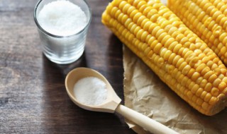 玉米粒做汤需要煮多久才熟 玉米粒做汤需要煮多长时间才熟