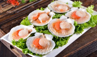 新鲜扇贝肉怎么冻冰箱保存 扇贝如何冷冻保存