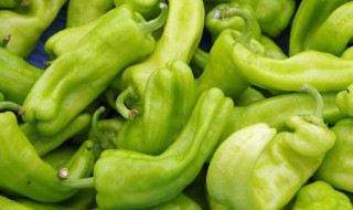 辣椒放排骨里炖多久会熟 排骨炖多久能熟