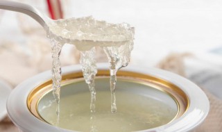 隔水蒸燕窝的做法 隔水炖燕窝怎么做