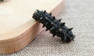 海参需要煮开吗煮多久 海参需要煮多长时间