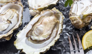 海蛎子用什么烤的好吃又脆 烤海蛎子的烹饪方法