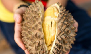 鸡腿炖多久熟榴莲味道会变 榴莲炖鸡需要多长时间