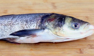 新鲜鲢鱼怎么做更好吃 新鲜鲢鱼如何做简单好吃