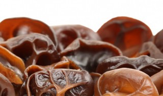 生鲜木耳需要煮多久才能吃 关于生鲜木耳需要煮多久