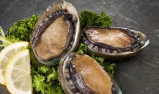 鲍鱼需要煮多久时间 鲍鱼需要煮的时间