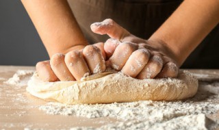 披萨胚怎么做 披萨胚如何制作呢