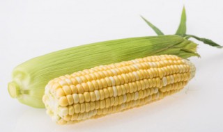 水果玉米需要煮多久 水果玉米需要煮多少分钟就可以吃了