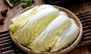 做娃娃菜炖多久会熟 做娃娃菜炖多长时间会熟呢