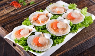 扇贝蒸粉丝怎么做 扇贝蒸粉丝如何制作呢