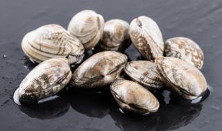 文蛤蒸蛋需要煮吗多久 文蛤蒸蛋煮多久能吃