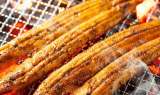 烤鱼端上来需要煮多久才熟 烤鱼端上来需要煮多长时间