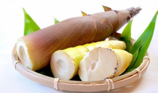 竹笋炖多久会熟 竹笋炖多长时间才会熟呢