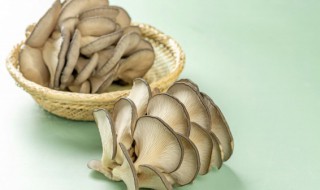 平菇炖多久会熟 平菇炖多长时间能熟