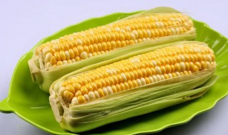 煮冻玉米棒需要多久 煮冻玉米棒需要多长时间