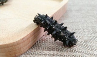 海参怎么煮鸡蛋需要多久 海参的烹饪方法