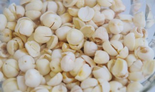 新鲜莲子怎么做莲蓉 新鲜莲子如何制作成莲蓉