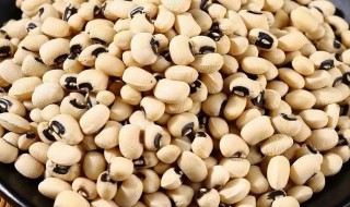 新鲜的白梅豆怎么做 新鲜的白梅豆如何做好吃