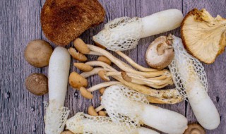 新鲜蘑菇怎么做汤 新鲜蘑菇如何制作成汤呢