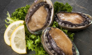 新鲜小鲍鱼怎么做 鲜鲍鱼的家常做法