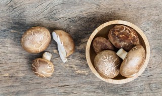 新鲜香菇肉丝怎么做 香菇肉丝的做法