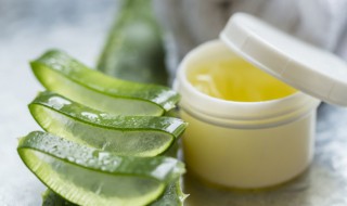 新鲜芦荟做面膜怎么做 新鲜芦荟怎么敷脸