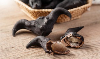 菱角需要煮多久 菱角需要煮几分钟呢