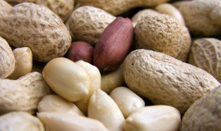 煮花生需要多久 煮花生需要多长时间呢