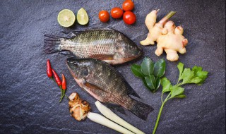 煮新鲜鱼怎么做最好吃 煮新鲜鱼如何做最好吃